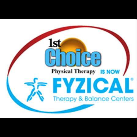 1st Choice Physical Therapy Inc