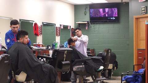 Canno's hair cut